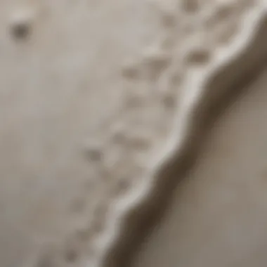 A close-up view of a plaster textured painting highlighting its depth