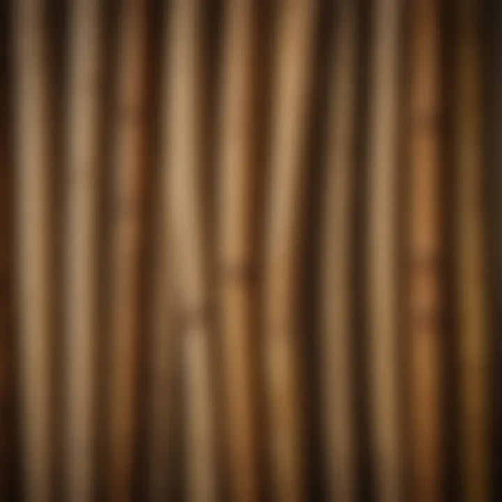 Close-up of bamboo texture emphasizing sustainability