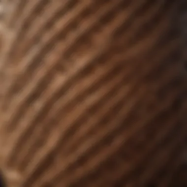 Close-up of intricate weaving patterns on a wicker basket