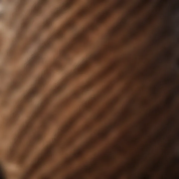 Close-up of intricate weaving patterns on a wicker basket