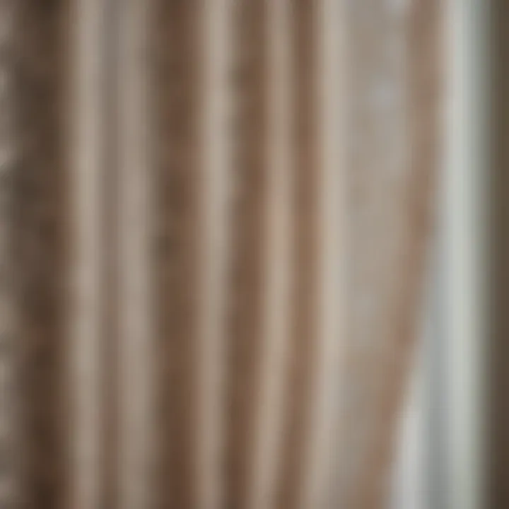 Close-up of intricate lace detailing on a sheer curtain