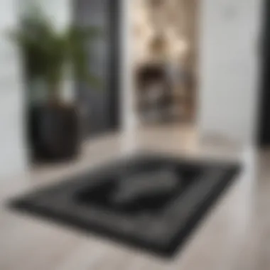 Elegant entrance mat enhancing home decor