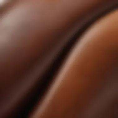 The Rich Texture of Real Leather Close-up of leather texture and color variations